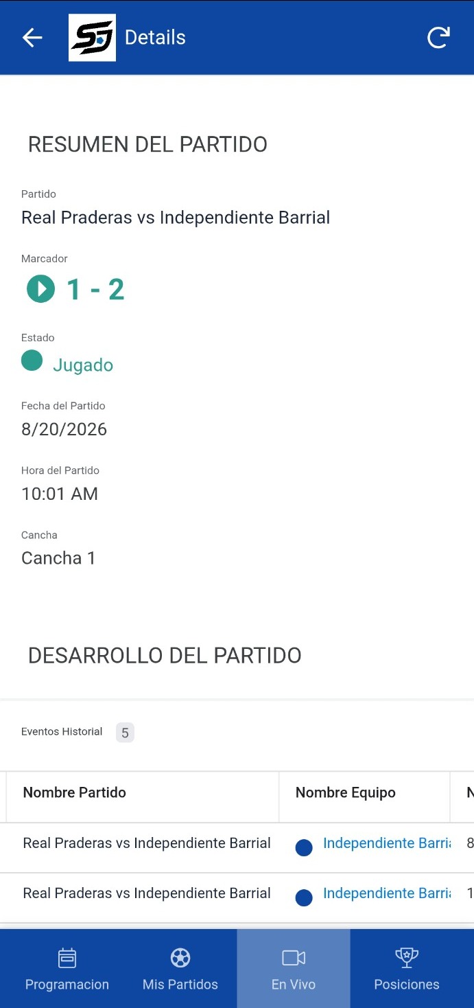 Resumen de partido jugado